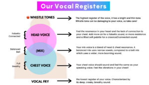 A diagram of a human torso that indicated the different registers of the voice. This includes the lowest register vocal fry, which sounds dry and crackly, the chest voice, similar to the speaking voice and is strong and resonant, the head or falsetto voice, which is the higher ranger and often sounds connected and breathy, and the highest vocal tone, the whistle tone, which is piercing and clean.
